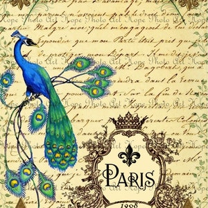 Peacock, Junk Journal, French Ephemera, Iron On Transfer, Digital Collage, scrapbooking, Shabby Chic, Paris, Vintage Journal Page image 3