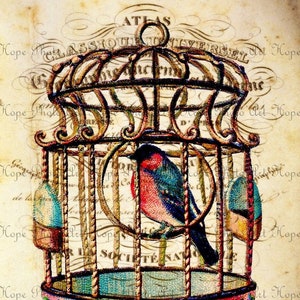Caged Bluebird, Decoupage Paper, Digital Paper, Pink Floral, Shabby Chic Decor, Junk Journal, Rice Paper, Image Transfers, Scrapbooking image 9