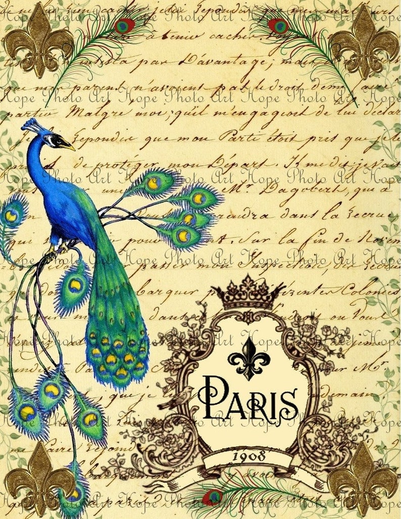 Peacock, Junk Journal, French Ephemera, Iron On Transfer, Digital Collage, scrapbooking, Shabby Chic, Paris, Vintage Journal Page image 3