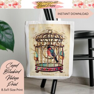 Caged Bluebird, Decoupage Paper, Digital Paper, Pink Floral, Shabby Chic Decor, Junk Journal, Rice Paper, Image Transfers, Scrapbooking image 5