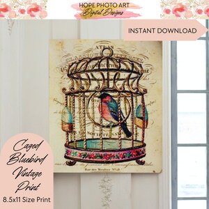 Caged Bluebird, Decoupage Paper, Digital Paper, Pink Floral, Shabby Chic Decor, Junk Journal, Rice Paper, Image Transfers, Scrapbooking image 4