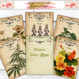 Tarjetas de jardín de hierbas, etiquetas, marcadores, diario basura, gitano, boticario, decoración de cabañas, bruja verde, regalo amante de las plantas, decoración de brujas, imprimible
