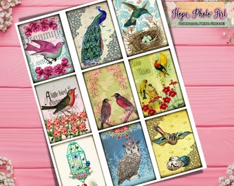 Bird Tags, Cards, Vintage Junk Journal, shabby chic, owl, peacock, Spring, Easter, hummingbird, ephemera, Cottage Roses, scrapbooking