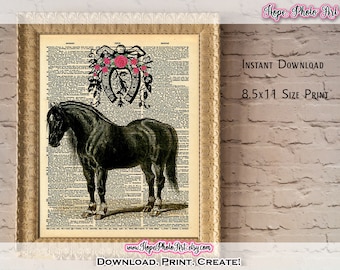 BLACK BEAUTY HORSE NOVELTY PHOTO PONY COLT KEYCHAIN BLACK BEAUTY HORSE NOVELTY PHOTO PONY COLT KEYCHAIN