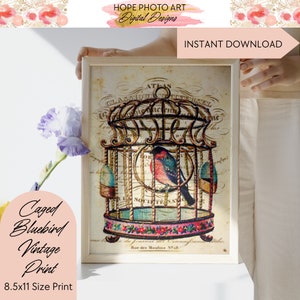 Caged Bluebird, Decoupage Paper, Digital Paper, Pink Floral, Shabby Chic Decor, Junk Journal, Rice Paper, Image Transfers, Scrapbooking image 8