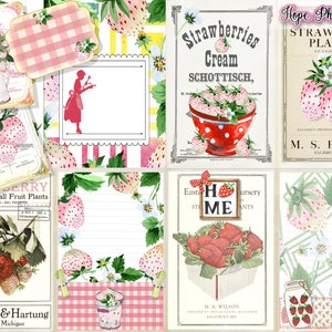 May include: A collage of vintage images featuring strawberries. The images include a strawberry cream label, a strawberry plant label, a strawberry nursery label, and a strawberry plant label with the text "Burmeister & Hartung, Onekama, Michigan".