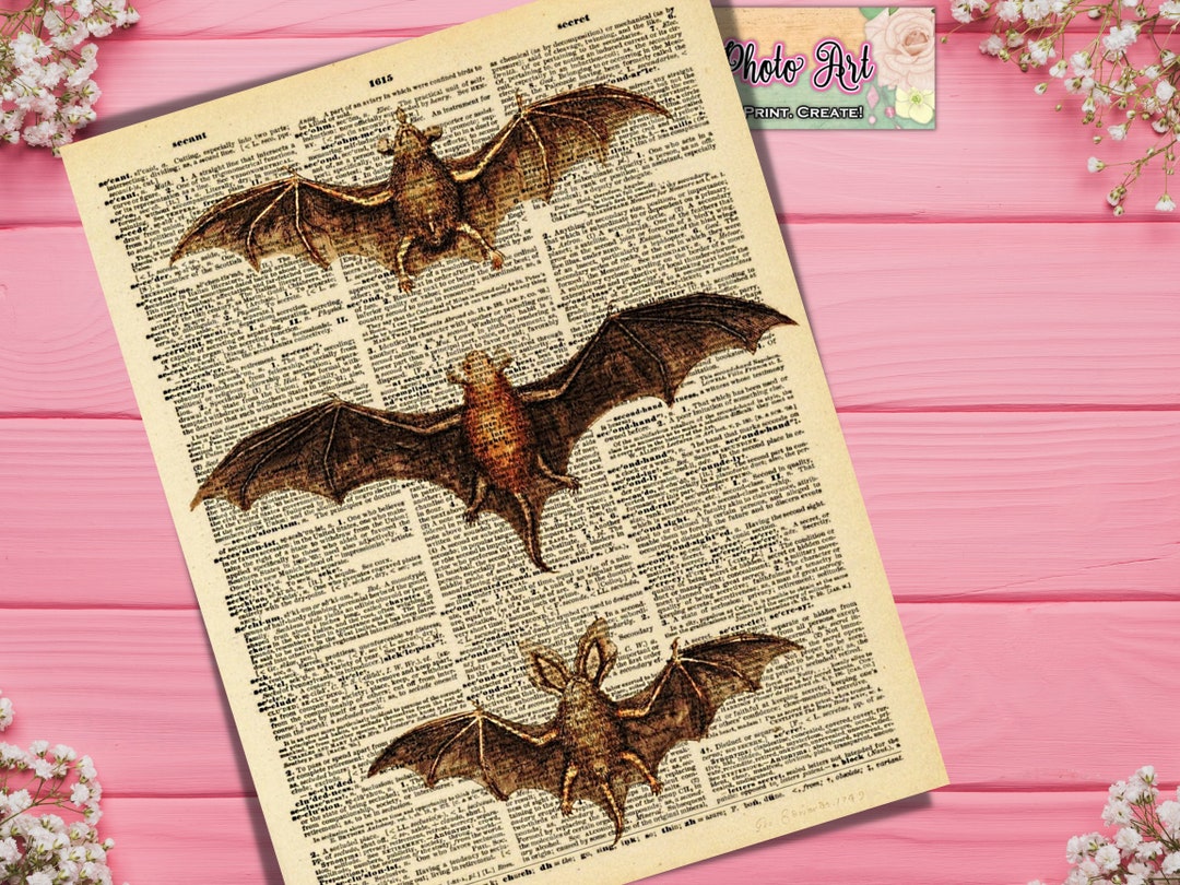 Printable Bats Dictionary Halloween Ephemera Digital Etsy