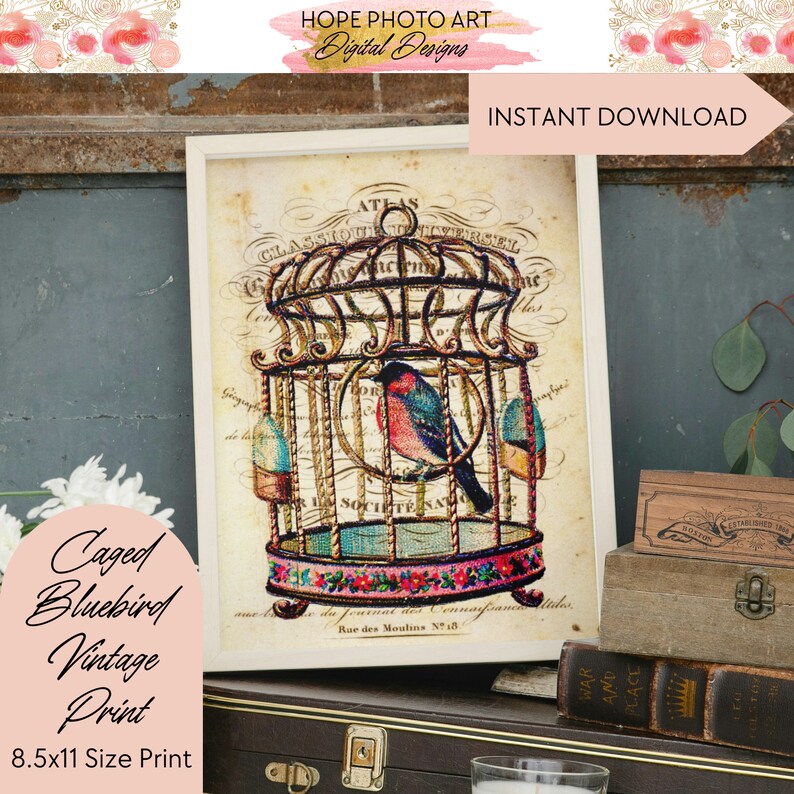 Caged Bluebird, Decoupage Paper, Digital Paper, Pink Floral, Shabby Chic Decor, Junk Journal, Rice Paper, Image Transfers, Scrapbooking image 1