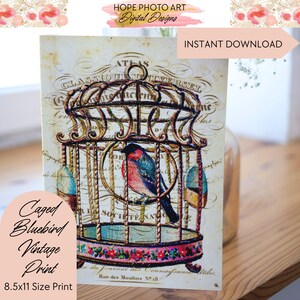 Caged Bluebird, Decoupage Paper, Digital Paper, Pink Floral, Shabby Chic Decor, Junk Journal, Rice Paper, Image Transfers, Scrapbooking image 7