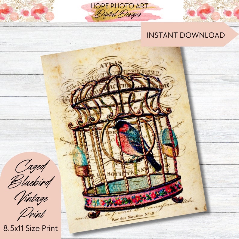 Caged Bluebird, Decoupage Paper, Digital Paper, Pink Floral, Shabby Chic Decor, Junk Journal, Rice Paper, Image Transfers, Scrapbooking image 10