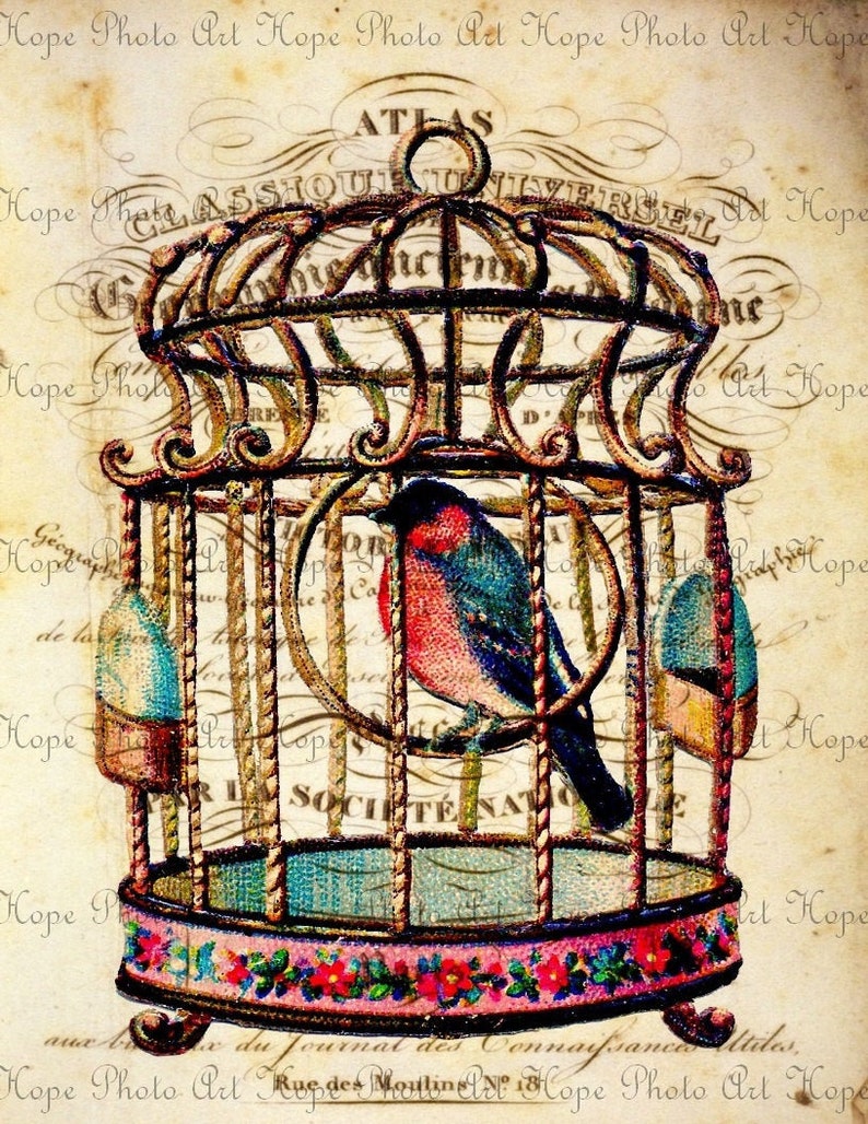 Caged Bluebird, Decoupage Paper, Digital Paper, Pink Floral, Shabby Chic Decor, Junk Journal, Rice Paper, Image Transfers, Scrapbooking image 9