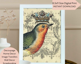 Crowned Bird Decoupage Print, Vintage Ephemera (Digital Download)
