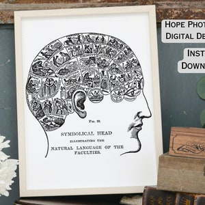 Phrenology Human Brain, Steampunk, Gothic, Halloween, Iron on Transfer, Scrapbooking, Junk Journal, Fortune Telling, Tarot, Sublimation, PNG image 1