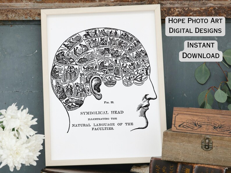 Phrenology Human Brain, Steampunk, Gothic, Halloween, Iron on Transfer, Scrapbooking, Junk Journal, Fortune Telling, Tarot, Sublimation, PNG image 1