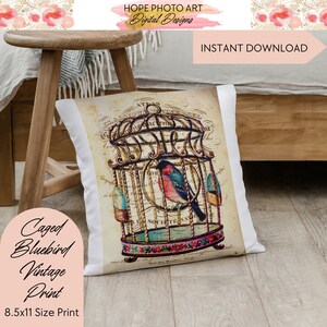 Caged Bluebird, Decoupage Paper, Digital Paper, Pink Floral, Shabby Chic Decor, Junk Journal, Rice Paper, Image Transfers, Scrapbooking image 3