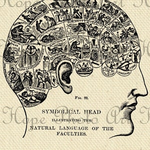 Phrenology Human Brain, Steampunk, Gothic, Halloween, Iron on Transfer, Scrapbooking, Junk Journal, Fortune Telling, Tarot, Sublimation, PNG image 5