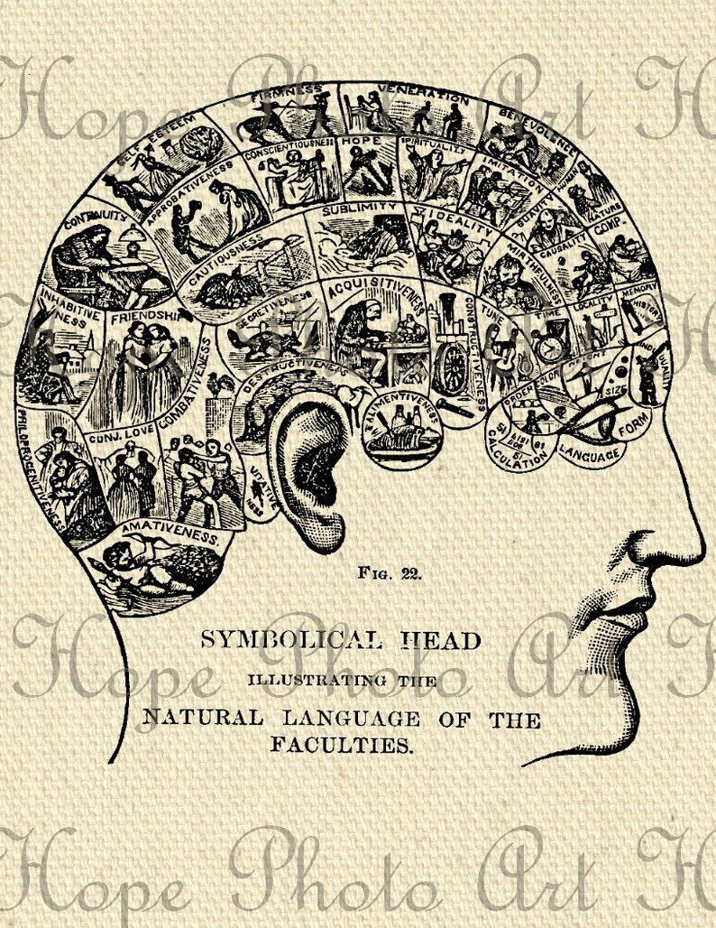 Phrenology Human Brain, Steampunk, Gothic, Halloween, Iron on Transfer, Scrapbooking, Junk Journal, Fortune Telling, Tarot, Sublimation, PNG image 5