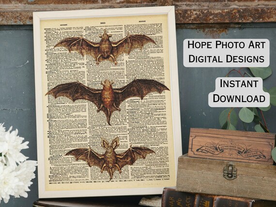 Vampire Bats Dictionary Digital Print, Halloween, Ephemera, Iron on Tranfer, Scrapbooking, Witch Decor, Vintage, Halloween Decor, Printable