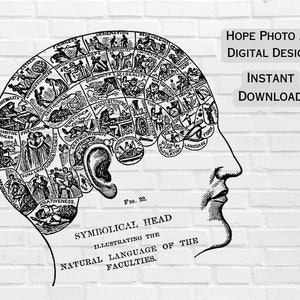 Phrenology Human Brain, Steampunk, Gothic, Halloween, Iron on Transfer, Scrapbooking, Junk Journal, Fortune Telling, Tarot, Sublimation, PNG image 4