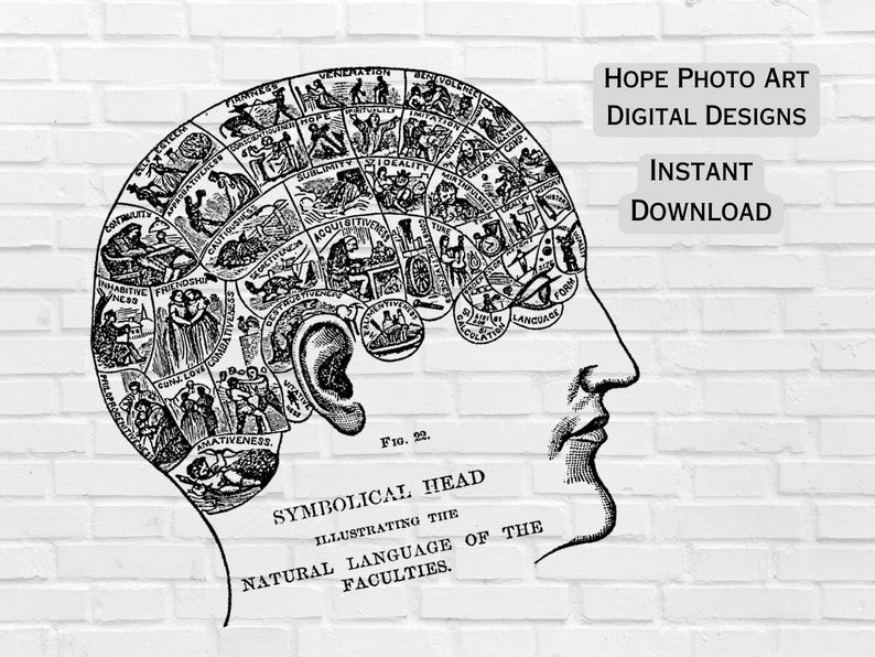 Phrenology Human Brain, Steampunk, Gothic, Halloween, Iron on Transfer, Scrapbooking, Junk Journal, Fortune Telling, Tarot, Sublimation, PNG image 4