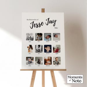 First Birthday Milestone Poster Template Welcome Sign For First Birthday Party 1st Birthday Decor Baby&#39;s First Year Sign