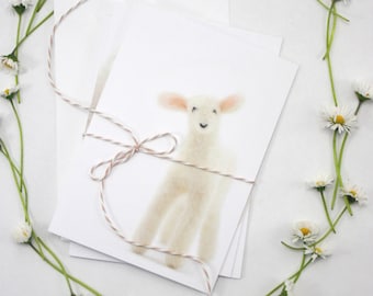 Set of 3 Lamb Greeting Cards, blank card set, Spring, Birthday or any occasion