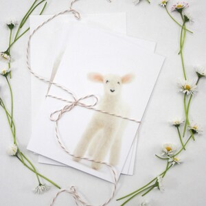 Satz von 3 Lamm Grußkarten, leere Karte Set, Frühling, Geburtstag oder jeder Anlass
