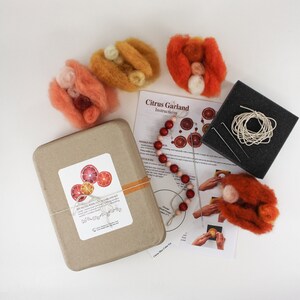 DIY Craft Kit, Felted Citrus Garland Kit, DIY Christmas Garland, DIY Felting Kit