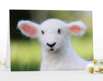 Set of 3 Meadow Lambs Greeting Cards, blank card set, Spring, Birthday or any occasion