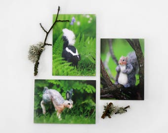 Set of 3 Woodland Animal Greeting Cards, blank card set, Spring, Birthday or any occasion Hare, Squirrel, Skunk Cards