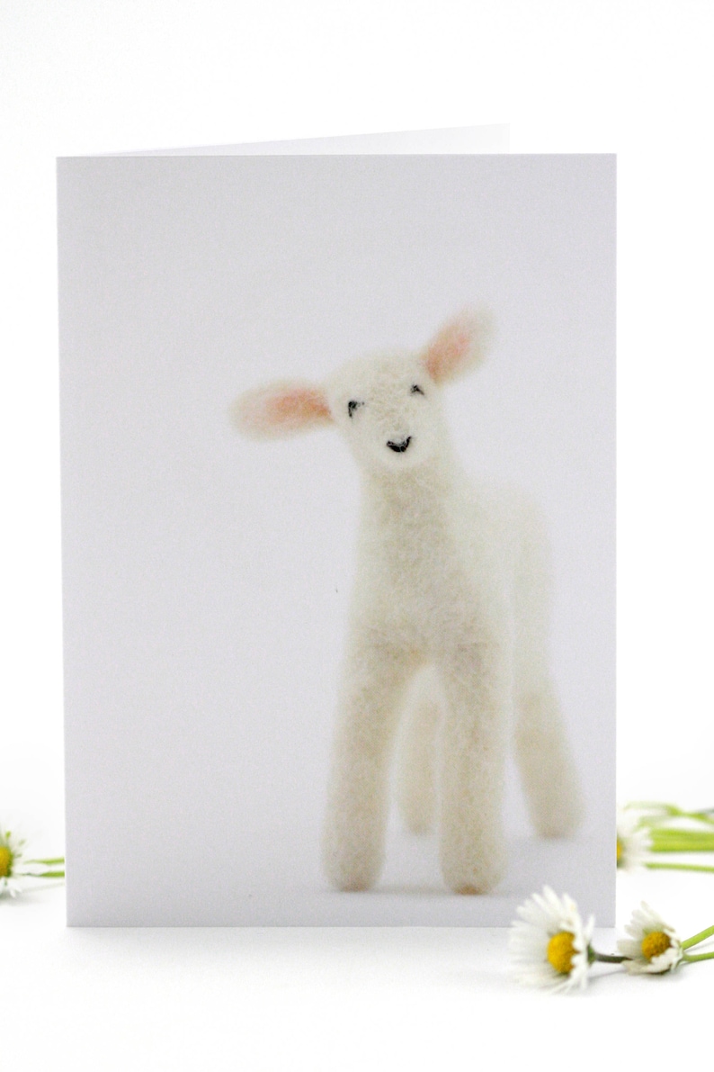 Set of 3 Lamb Greeting Cards Blank Card Set Spring Birthday Etsy