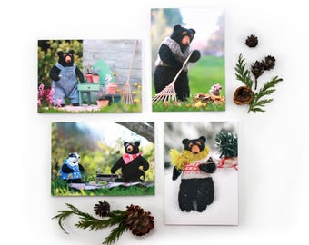 Set of four Rudyard Bear Greeting Cards, blank card set, Four Seasons, Birthday or any occasion