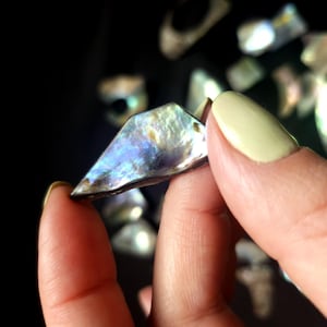 Puede incluir: Un fragmento triangular de concha de abulón iridiscente, sostenido entre los dedos. La concha muestra una gama brillante de azules, púrpuras y verdes. Otros trozos de concha están borrosos en el fondo sobre un fondo oscuro.