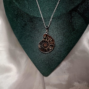 Ammonite Pendant Necklace | Natural Fossil Crystal | Sterling Silver or Leather Chain Options | Ancient Earth Energy Jewellery | Gift idea