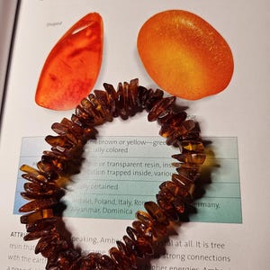 May include: An open book page displaying amber gemstones and a bracelet. The amber pieces are in shades of orange and brown. The bracelet is made of amber fragments. The word "AMBER" is printed at the top of the page.