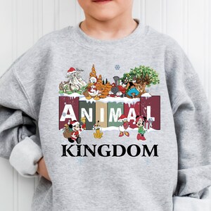 A gray sweatshirt with a collage of Disney characters and the word "ANIMAL KINGDOM" printed on it.