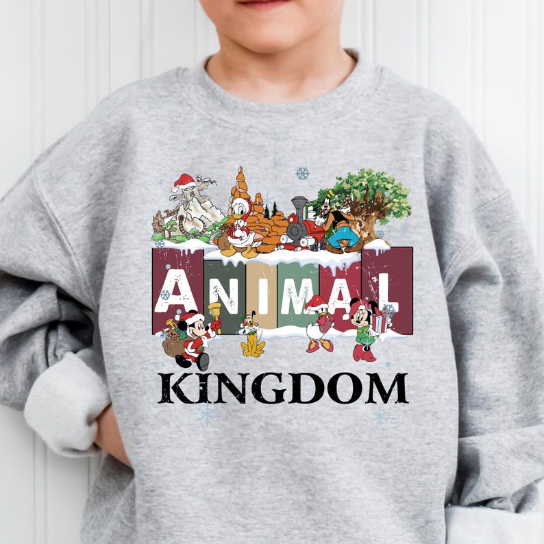A gray sweatshirt with a collage of Disney characters and the word "ANIMAL KINGDOM" printed on it.