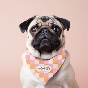 Bandana voor huisdieren Retro geruite gepersonaliseerde naamsjaal Honden en katten Heldere kleuren Speels Persoonlijkheid Lifestyle Fotoshoots Trendy sjaal voor huisdieren
