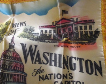 Vintage Beautiful Washington DC The Nations Capitol Souvenir Fringed Silk Pillow Cover mid century collectible