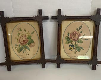Pair of Vintage Botanical Prints in Ornate Decorative Wooden Frames - Home Decor - Vintage Decor - Plant Illustration - Botanical Art