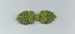 Six (6) pairs olive green knots bead Chinese Frogs fasteners closure buttons NEW Brandenburg 