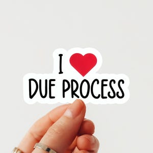 I Love Due Process Sticker, Due Process Sticker,  Pro-Immigration Rights, Vinyl Sticker for Civil Rights, Constitutional Advocacy