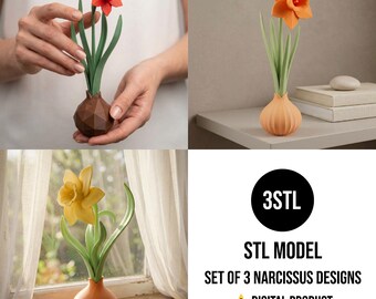Narcissus Flower STL Set, 3 Spring Daffodil Designs, 3D Printable Desktop Plant, Eternal Floral Decor, Mother's Day Gift STL, Digital File