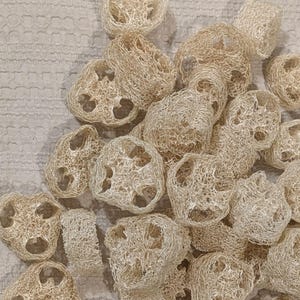 May include: A collection of numerous light beige, dried loofah slices arranged in a cluster. Each circular piece features a porous, fibrous, and net-like texture with a distinct internal structure showing multiple hollow chambers throughout the surface.