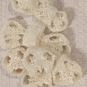 Pack of 10 Natural Loofah Slices for Soap Making & Shower, Organic Exfoliating Luffa Body Sponge Set FREE SHIPPING