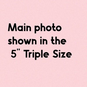 Puede incluir: La imagen muestra el texto "Main photo shown in the 5" Triple Size" en negro sobre un fondo rosa claro. El texto est&aacute; centrado y es claramente legible.