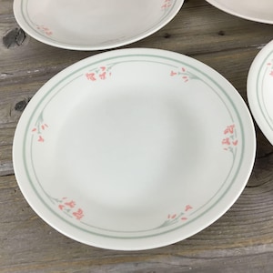 May include: White ceramic plates with a light green and pink floral design. The plates have a light green border with pink floral accents. The plates are arranged on a wooden surface. The plates are a classic dinnerware set.
