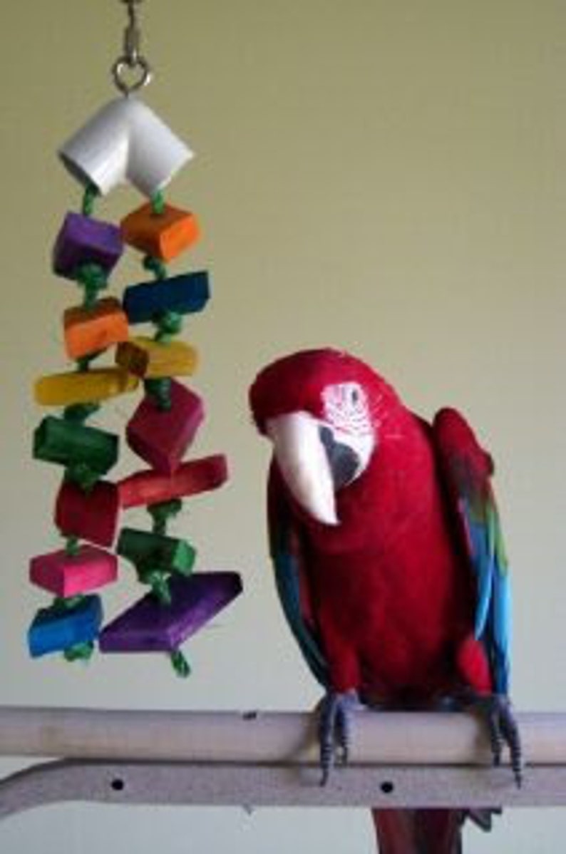 Macaw Toy, Bird Toys, Sarge's Little Chews, Large Bird Toy, Wood Toy, Parrot Toy, Hanging Bird Toy image 5