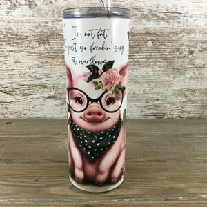 I&#39;m not fat, I&#39;m just so freakin sexy it overflows Pig 20 oz Skinny Tumbler