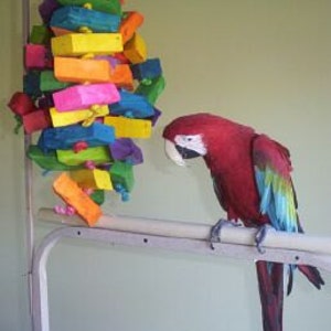 May include: A red and blue macaw parrot perched on a wooden perch, looking at a colorful wooden toy hanging from the ceiling.